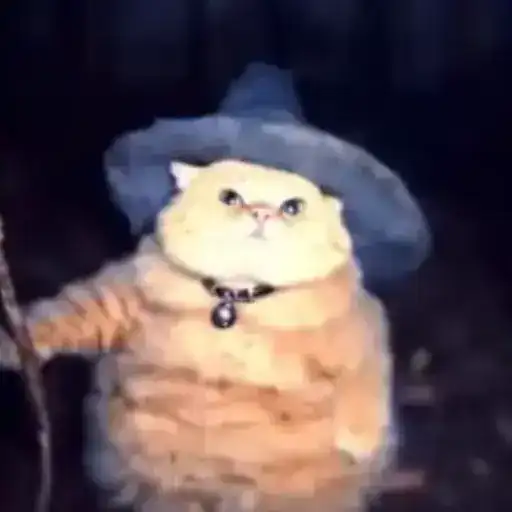 Wizard Cat preview