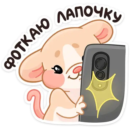 Sticker 📸