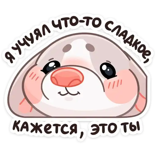 Sticker 🐽