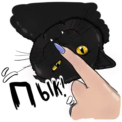 Sticker 🐈‍⬛