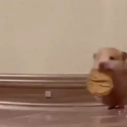 Хомячьё preview