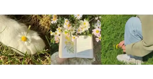 ☀️︎༄.°𝓱𝓸𝓽 𝓼𝓾𝓶𝓶𝓮𝓻.ೃ preview