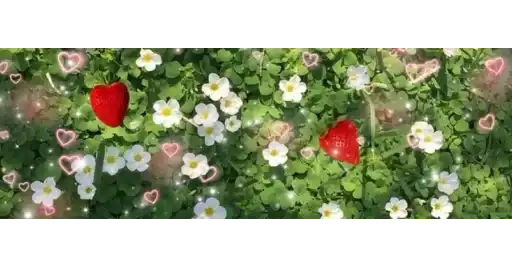 ☀️︎༄.°𝓱𝓸𝓽 𝓼𝓾𝓶𝓶𝓮𝓻.ೃ preview