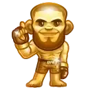 U F C Mystery Box preview