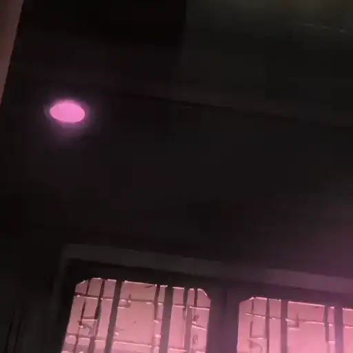 𝆺𝅥 𝆭• 𝑩𝒖𝒍𝒍𝒇𝒓𝒐𝒈 . 𞥊  𝆭• 𝆺𝅥 preview