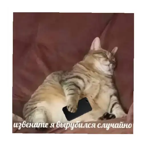 Sticker 😴