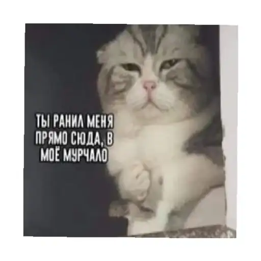 Sticker 😣