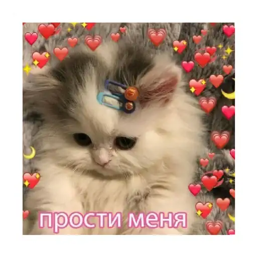 Sticker 🥺