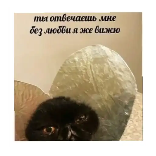 Sticker 😔