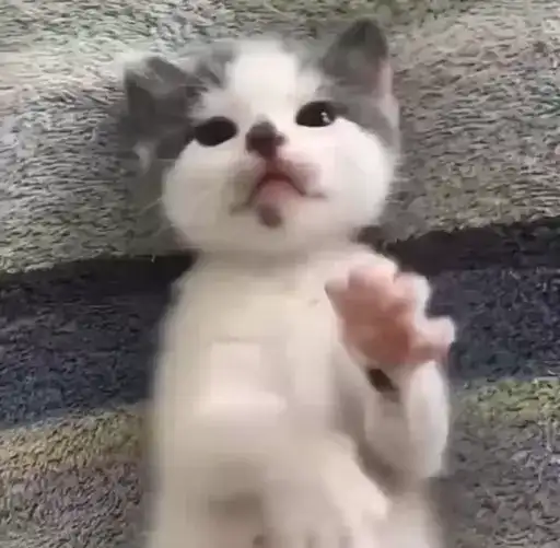Sticker 🌟