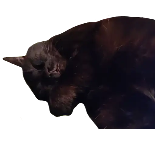 Сладкая булочка <3 preview