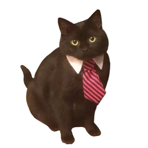 Сладкая булочка <3 preview