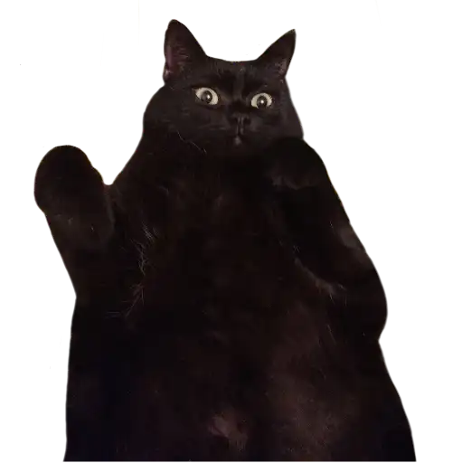 Сладкая булочка <3 preview