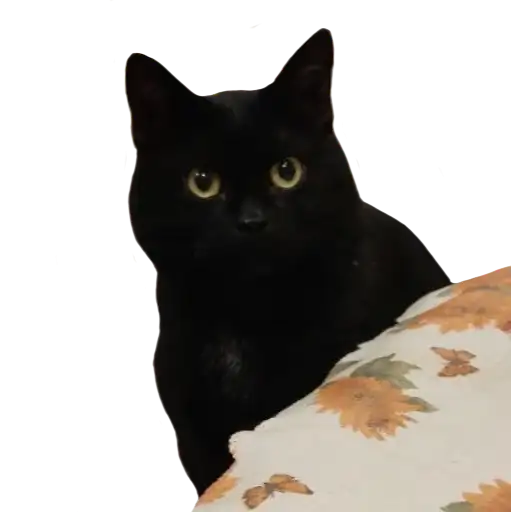 Сладкая булочка <3 preview