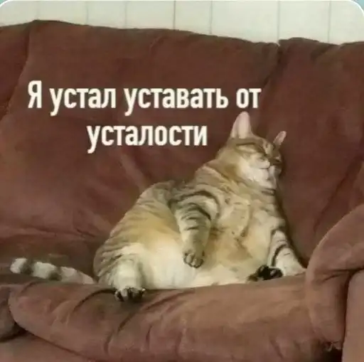 Коты говорят preview