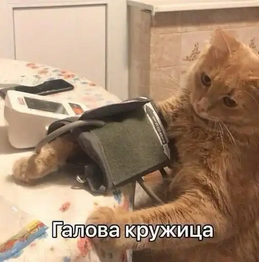 Коты говорят preview