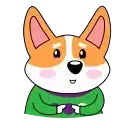 Korzhyk Corgi preview