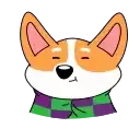 Korzhyk Corgi preview