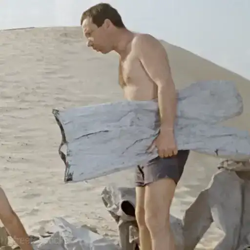 Джентльмены удачи preview