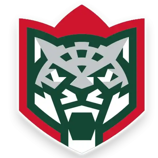 Наш Ак барс preview