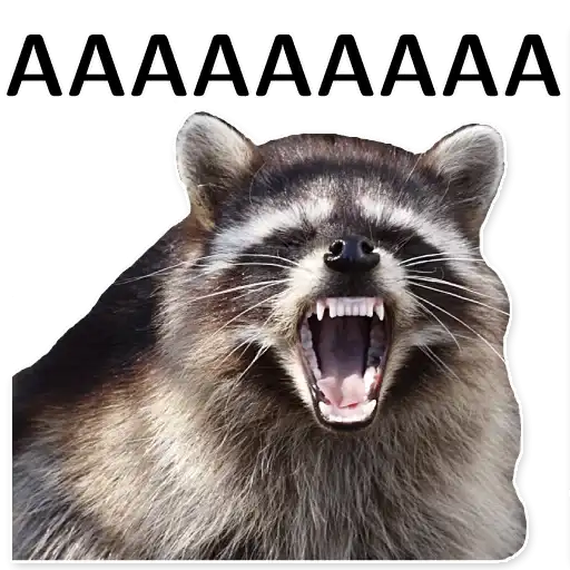 Offensive_raccoons preview