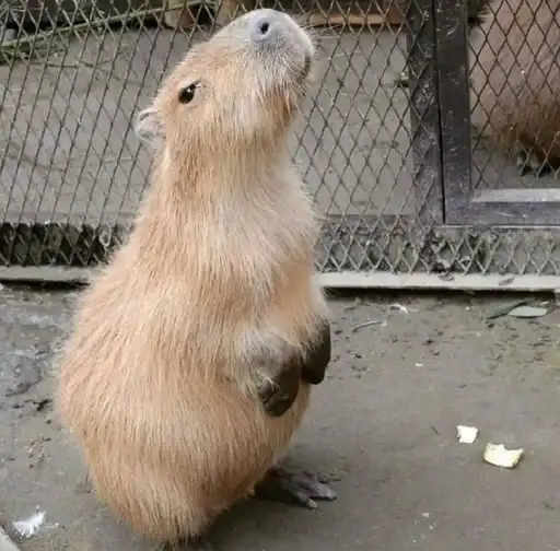 Sticker 😶‍🌫️