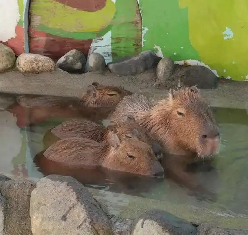 Sticker 👩‍👧‍👦