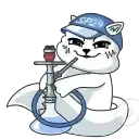 Кот SP24 preview