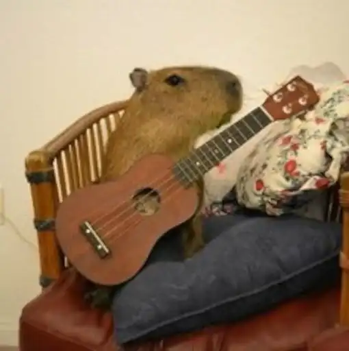 Capybara preview