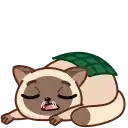 Сиамский кот preview