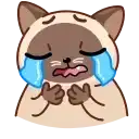 Sticker 😭