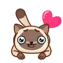 Сиамский кот preview