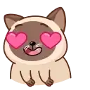 Сиамский кот preview