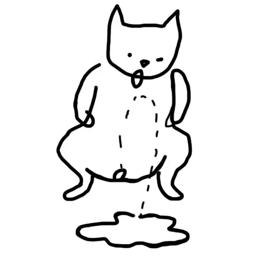 🙈Crazy Cat preview