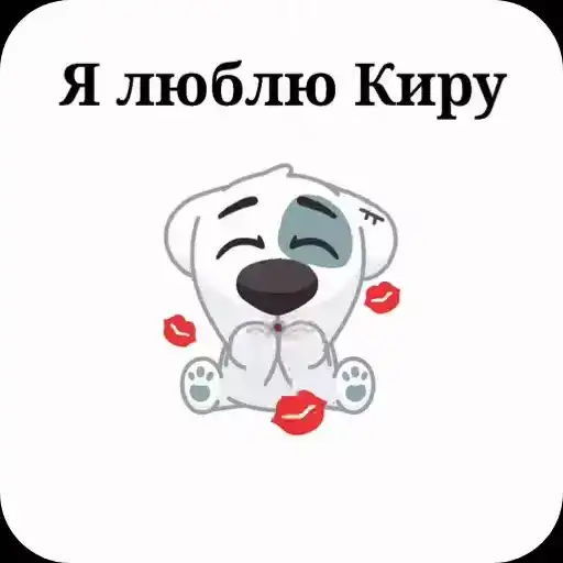 Любимки🫶 Спотти🐶 preview