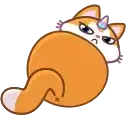 A Unicorn Cat preview