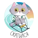 Тусуйтесь, как СберКот preview