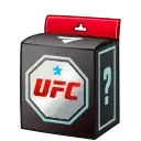 UFC Mystery Box preview