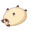 Мопс Моши preview