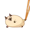 Мопс Моши preview