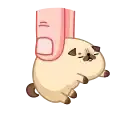 Мопс Моши preview