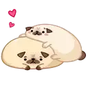 Мопс Моши preview