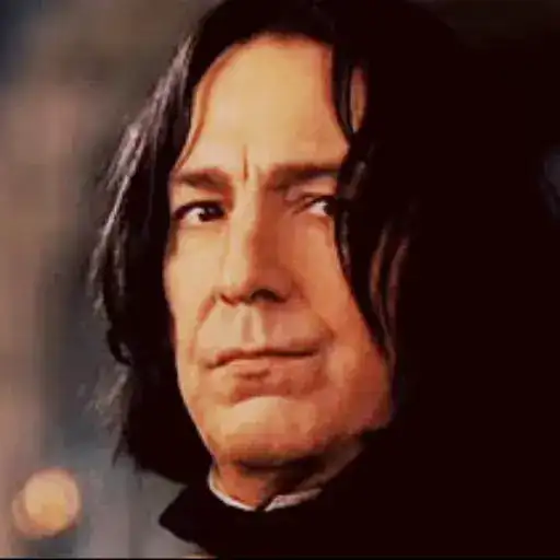 Harry Potter preview