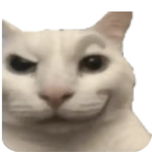 Sticker 🐱