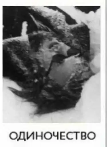 Летов на все случаи жизни preview