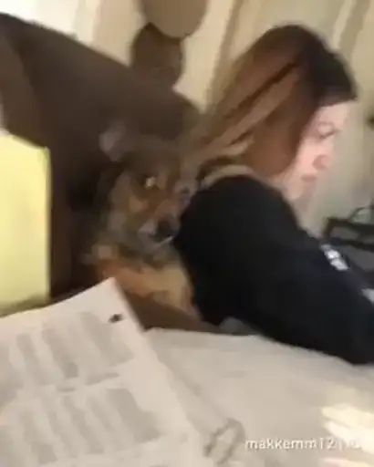 Vol. 1 (Video preview