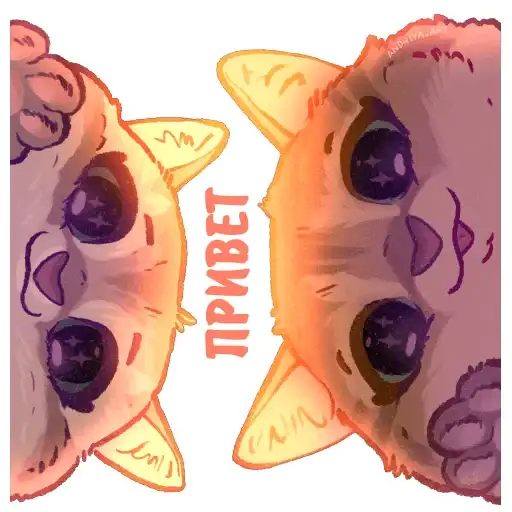 Котики и фразочки preview