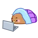 Птичка Киви preview