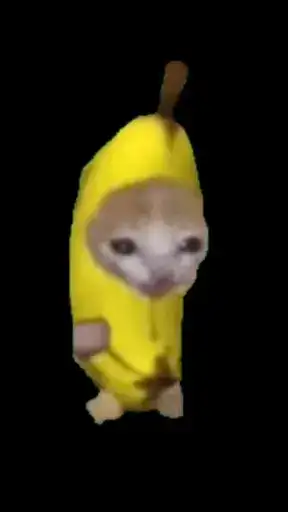 Banana Cat preview
