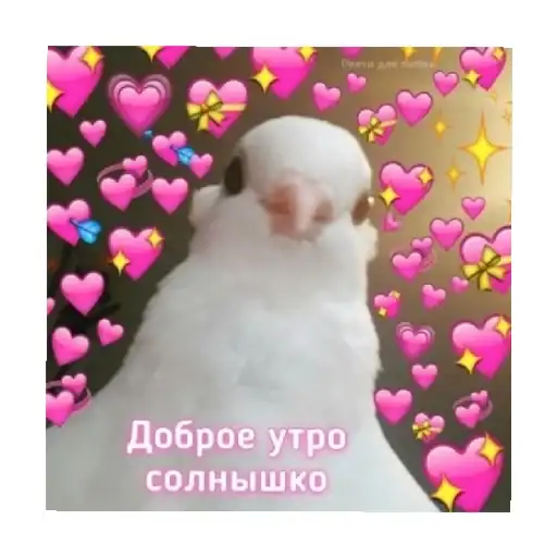 Sticker 🥰
